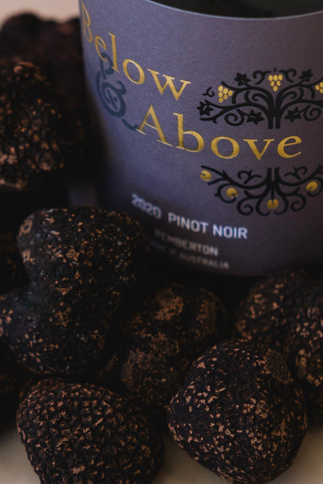 From Manjimup to the World: Why the Southern Forests Produces Exceptional Truffles