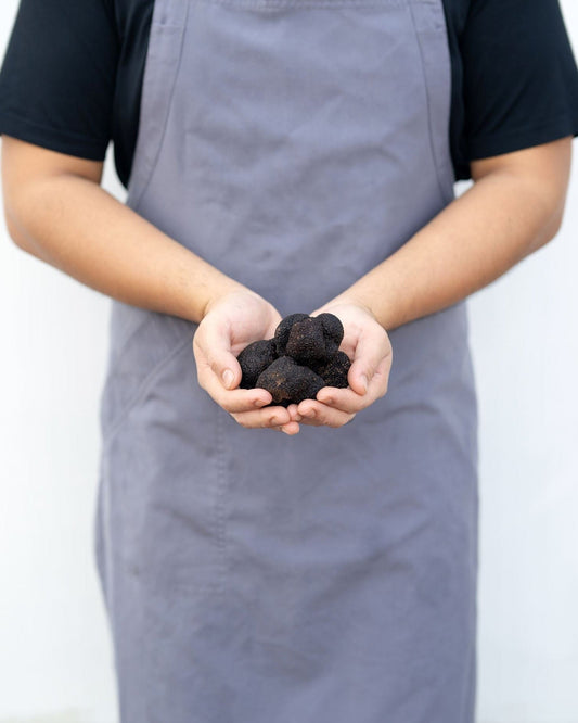 Freshly harvested Tuber melanosporum black winter truffle held by hand, Below&Above truffière, Smithbrook, near Manjimup, Western Australia